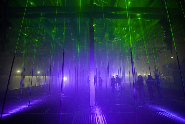 inside the laser forest